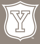 Yale Vintage Shield, White on PMS Warm Gray 7 variant