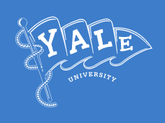 Yale Pennant Logo, White on PMS 660 variant
