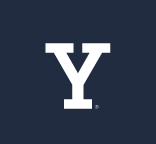 Y lettermark, white variant