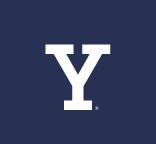 Y lettermark, white variant