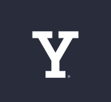 Y lettermark, white variant
