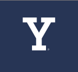 Y lettermark, white variant