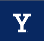 Y lettermark, white variant
