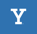 Y lettermark, white variant
