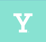 Y lettermark, white variant