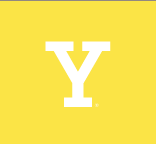 Y lettermark, white variant