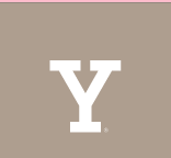 Y lettermark, white variant