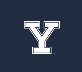 Y lettermark with outline, white variant