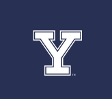 Y lettermark with outline, white variant