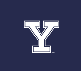 Y lettermark with outline, white variant