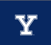 Y lettermark with outline, white variant