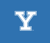 Y lettermark with outline, white variant