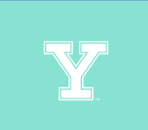 Y lettermark with outline, white variant