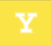 Y lettermark with outline, white variant