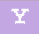 Y lettermark with outline, white variant