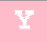 Y lettermark with outline, white variant