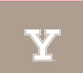 Y lettermark with outline, white variant