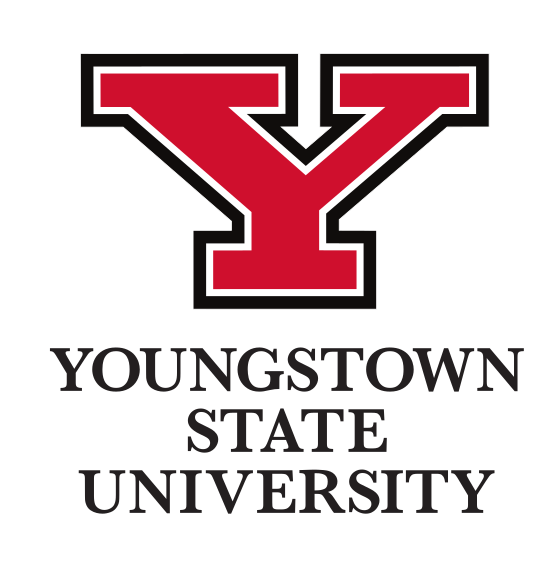Youngstown State University wordmark, vertical, color variant, cell 77