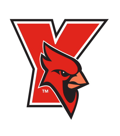 cardinal head mascot in Y lettermark, full color variant, cell 6