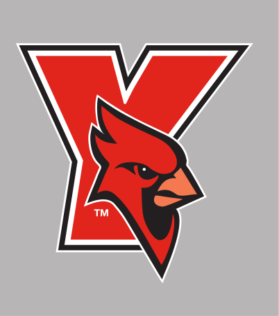 cardinal head mascot in Y lettermark, full color, alternate variant, cell 7