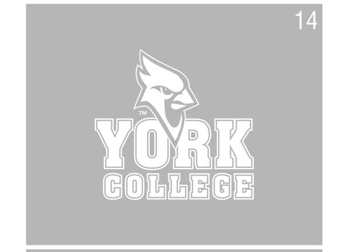 York College wordmark with mascot, white reverse variant, cell 14