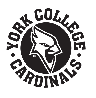 York College Cardinals arched wordmark with mascot, black/white variant, cell 25