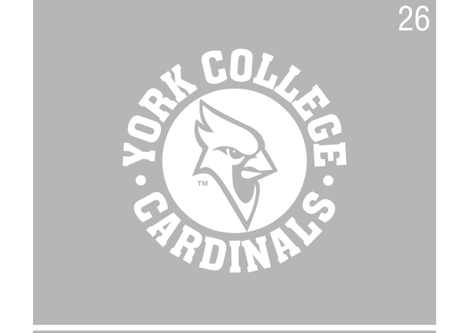 York College Cardinals arched wordmark with mascot, white reverse variant, cell 26