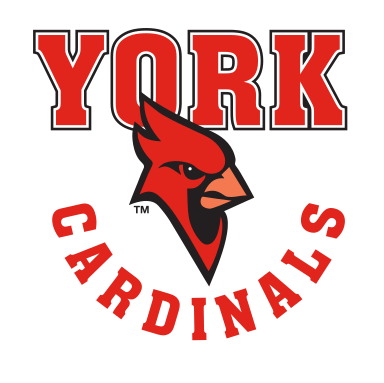 York Cardinals wordmark with mascot, full color variant, cell 31
