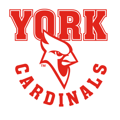 York Cardinals wordmark with mascot, red/white variant, cell 32