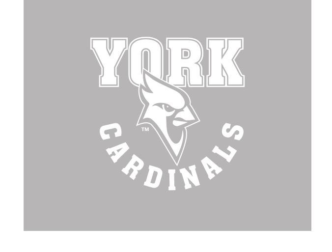 York Cardinals wordmark with mascot, white reverse variant, cell 34